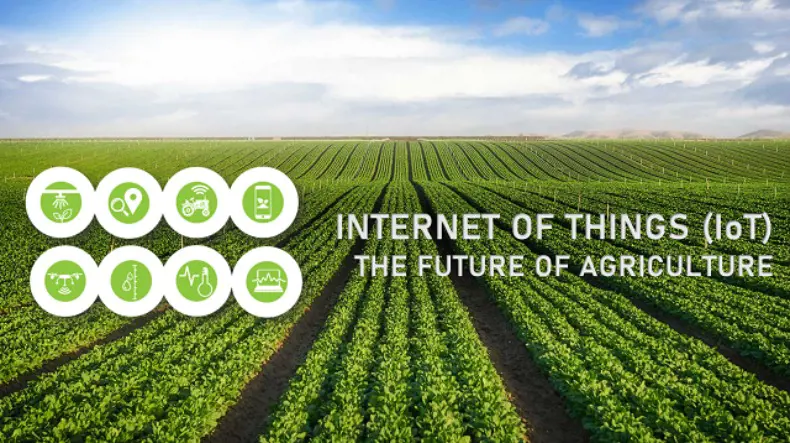 　Application cases of IoT in modern farms